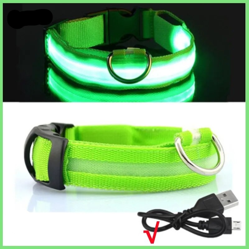 Leuchtendes Halsband für Haustiere mit USB-Ladung Sichtbarkeit und Sicherheit: - Erhöhen Sie die Sicherheit Ihres Hundes bei nächtlichen Spaziergängen mit unserem wiederaufladbaren LED Leuchthalsband. Ideal für Sichtbarkeit und Stil. - 14:1052#Green USB C