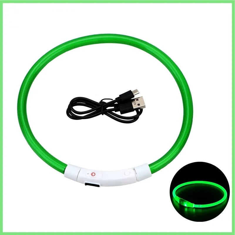 Leuchtendes Halsband für Haustiere mit USB-Ladung Sichtbarkeit und Sicherheit: - Erhöhen Sie die Sicherheit Ihres Hundes bei nächtlichen Spaziergängen mit unserem wiederaufladbaren LED Leuchthalsband. Ideal für Sichtbarkeit und Stil. - 14:200006152#Green
