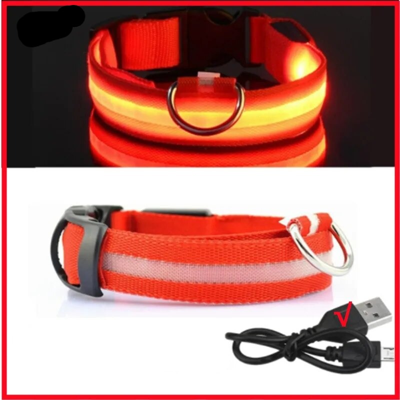 Leuchtendes Halsband für Haustiere mit USB-Ladung Sichtbarkeit und Sicherheit: - Erhöhen Sie die Sicherheit Ihres Hundes bei nächtlichen Spaziergängen mit unserem wiederaufladbaren LED Leuchthalsband. Ideal für Sichtbarkeit und Stil. - 14:350850#Red USB C
