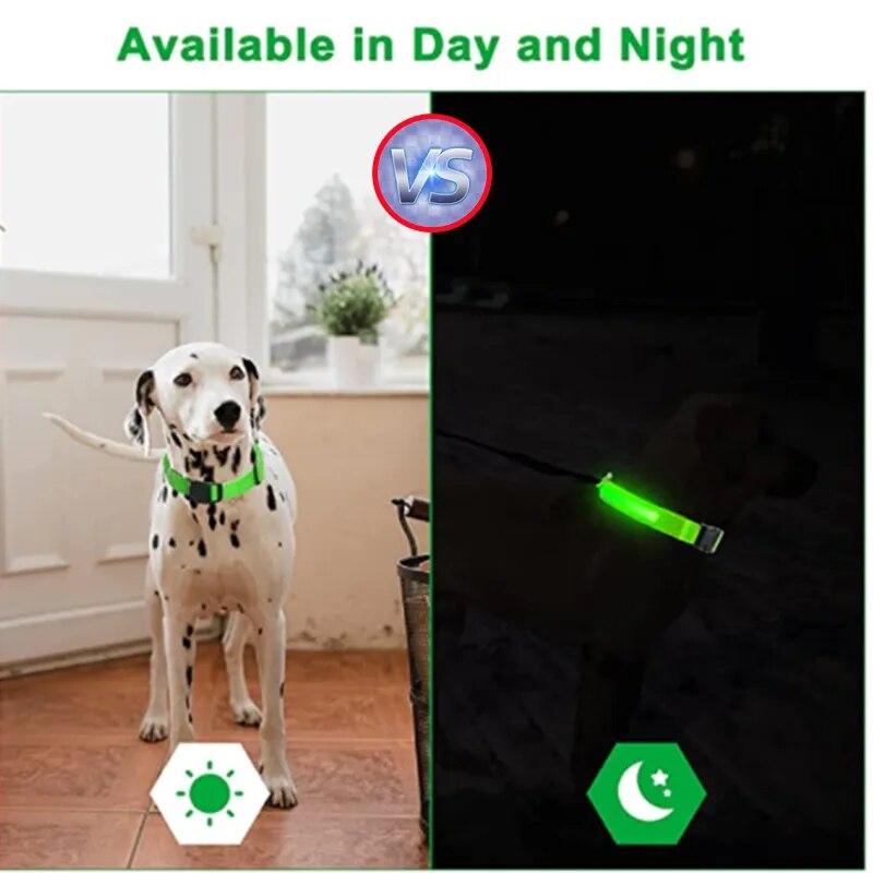 Leuchtendes Halsband für Haustiere mit USB-Ladung Sichtbarkeit und Sicherheit: - Erhöhen Sie die Sicherheit Ihres Hundes bei nächtlichen Spaziergängen mit unserem wiederaufladbaren LED Leuchthalsband. Ideal für Sichtbarkeit und Stil. - 14:200006151#Black