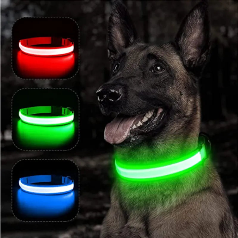Leuchtendes Halsband für Haustiere mit USB-Ladung Sichtbarkeit und Sicherheit: - Erhöhen Sie die Sicherheit Ihres Hundes bei nächtlichen Spaziergängen mit unserem wiederaufladbaren LED Leuchthalsband. Ideal für Sichtbarkeit und Stil. - 14:200006151#Black