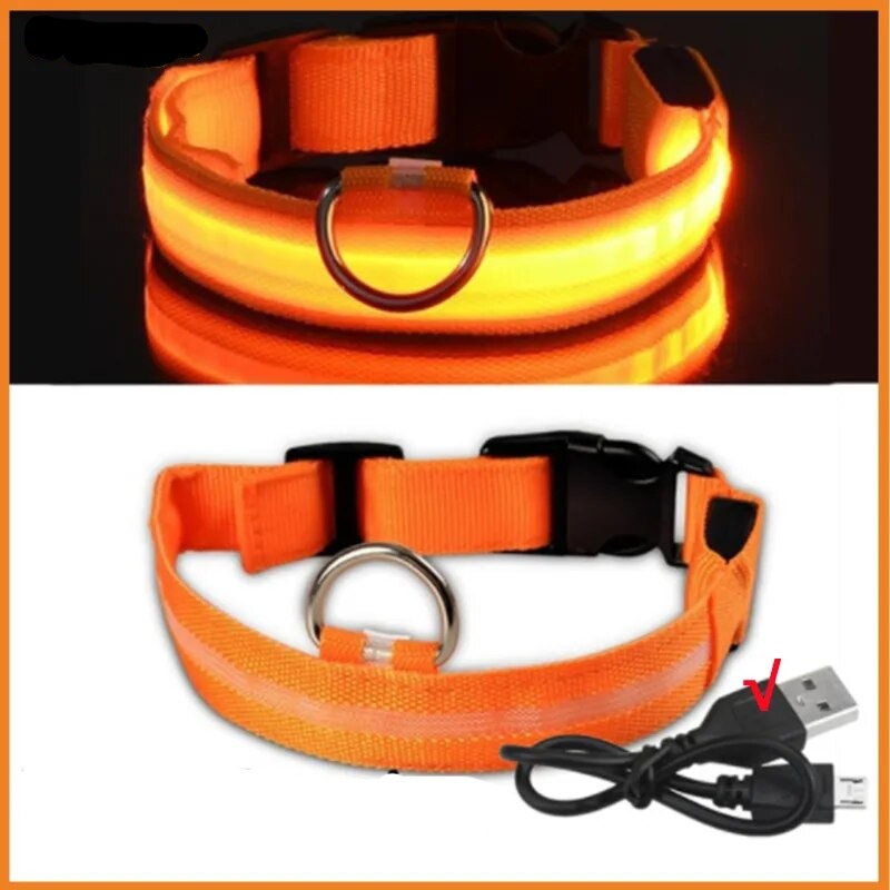 Leuchtendes Halsband für Haustiere mit USB-Ladung Sichtbarkeit und Sicherheit: - Erhöhen Sie die Sicherheit Ihres Hundes bei nächtlichen Spaziergängen mit unserem wiederaufladbaren LED Leuchthalsband. Ideal für Sichtbarkeit und Stil. - 14:200002984#Orange