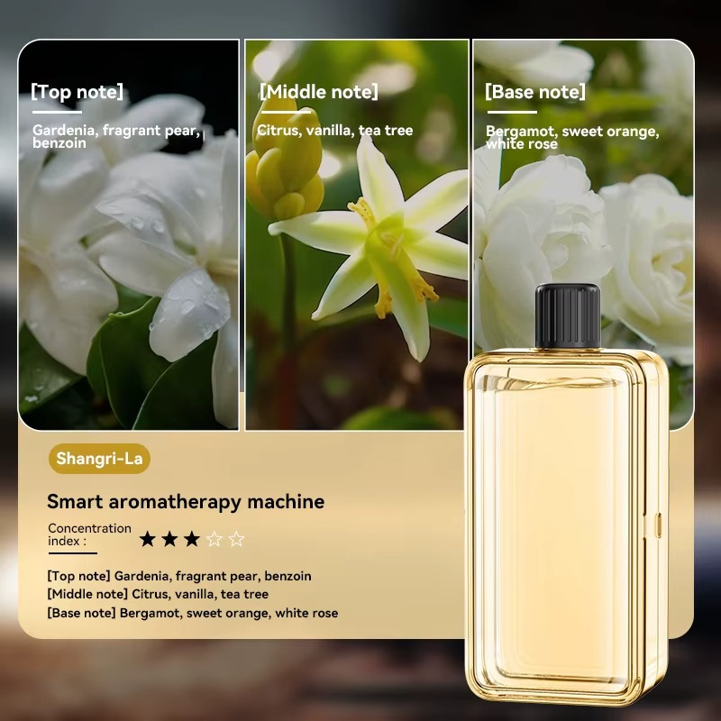 Aromatherapie Diffusor mit digitalem Display –mehrstufig einstellbar