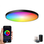 Tuya WiFi RGB dimmbare Smart LED Deckenleuchte mit Alexa und Google Home
