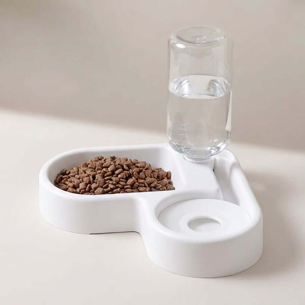 1005006904705176 gallery