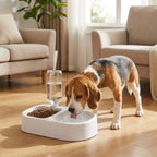 1005006904705176 gallery