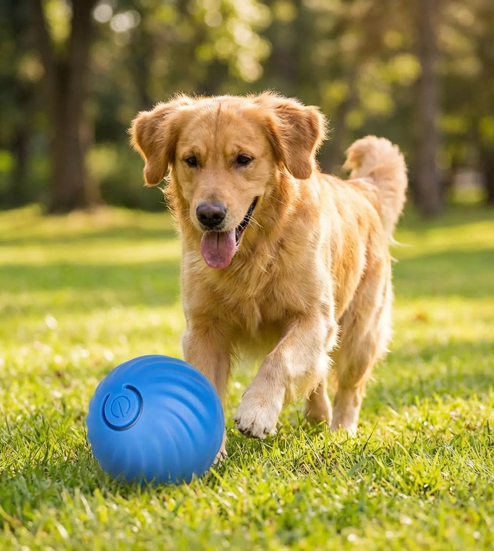 1005006994989989 gallery