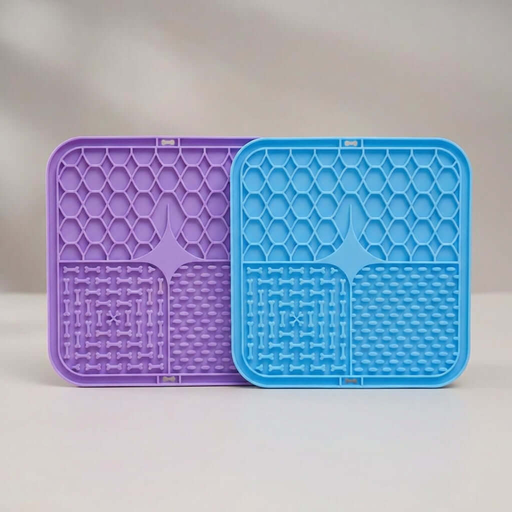 1005007306665783 gallery