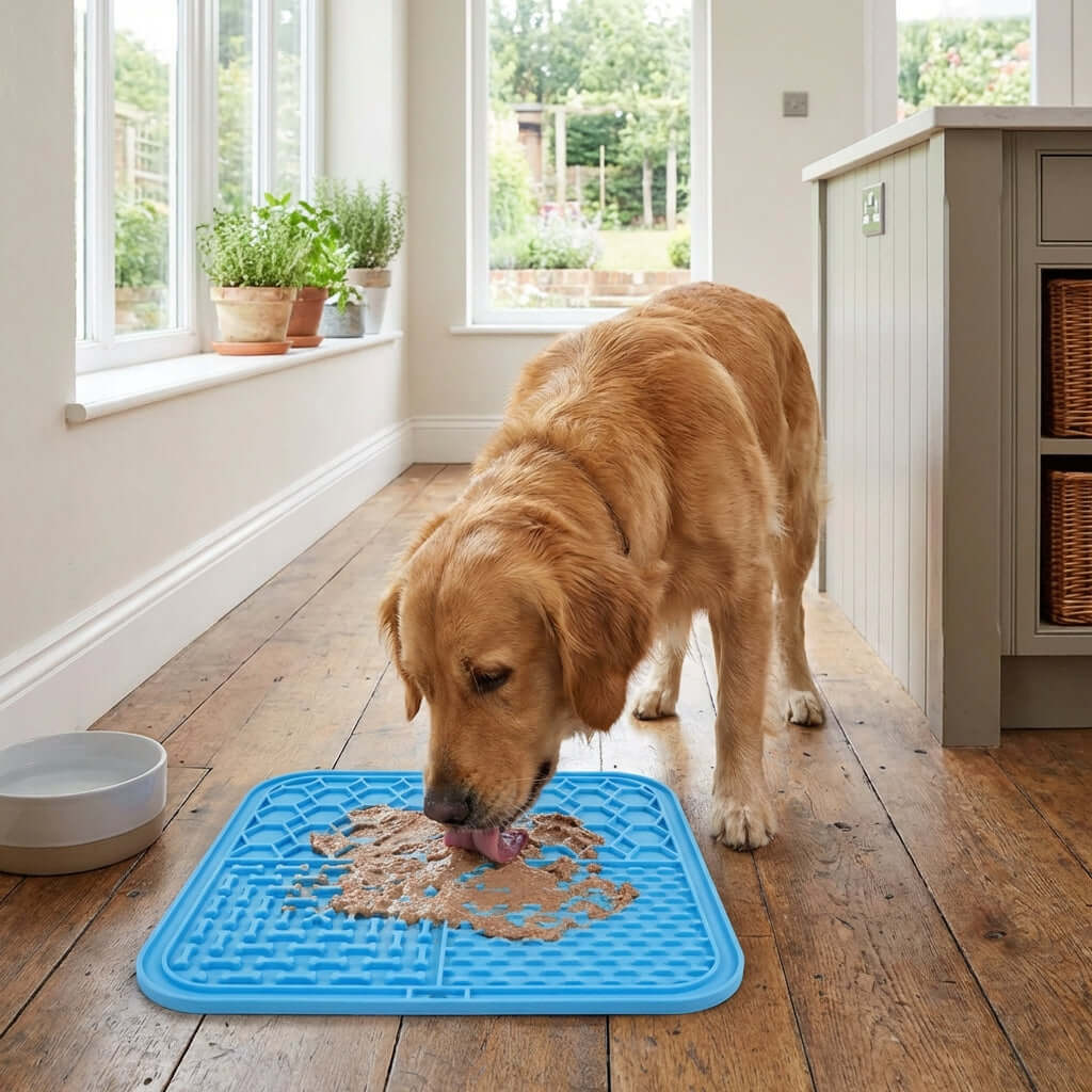 1005007306665783 gallery