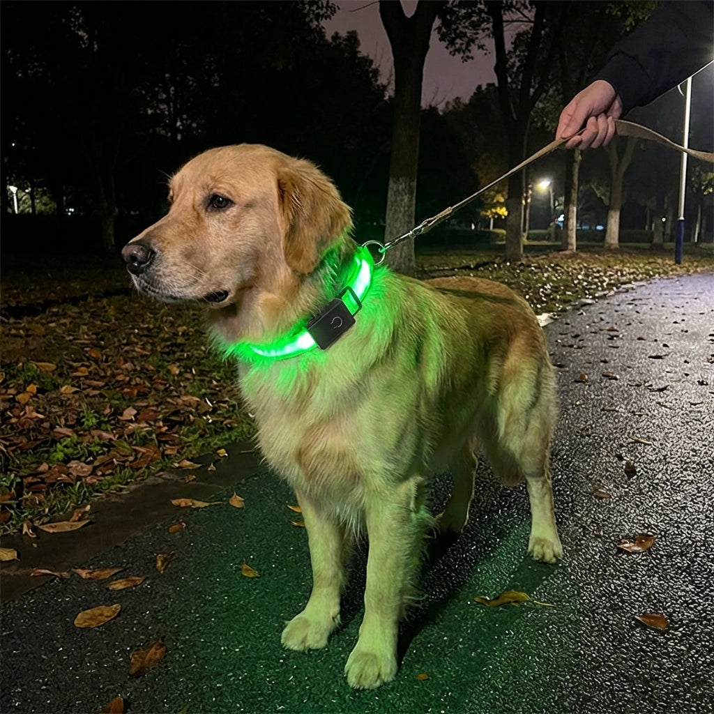 1005008406387116 gallery