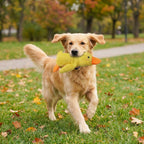 1005008557788774 gallery