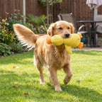 1005008557788774 gallery