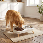 1005009508950393 gallery