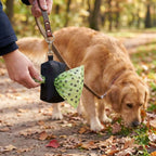 1005010376539058 gallery