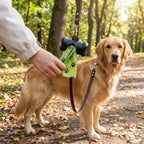 1005010376539058 gallery