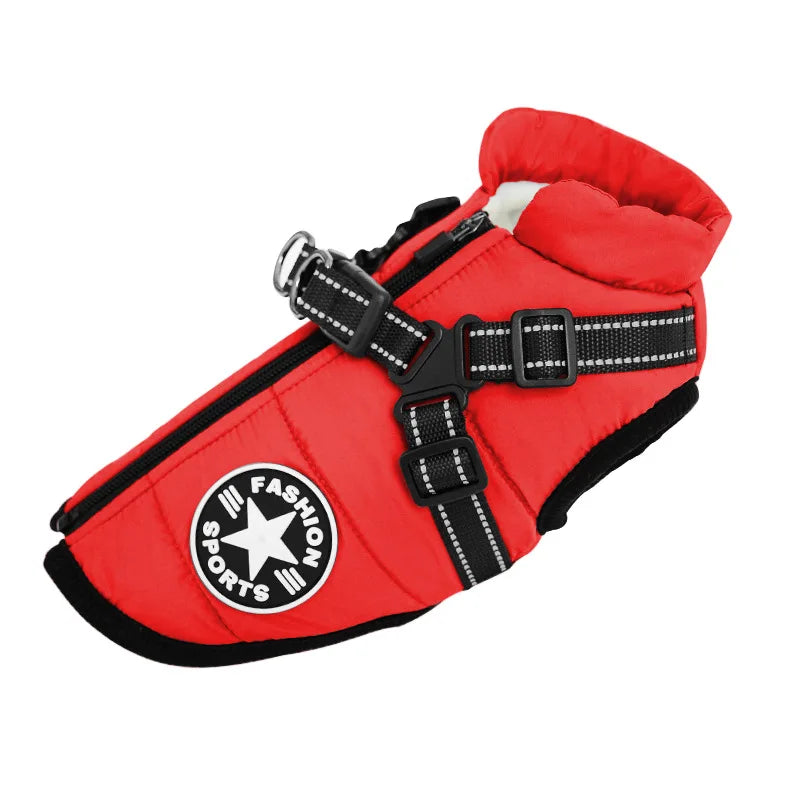 Water-repellent padded winter dog coat with harness