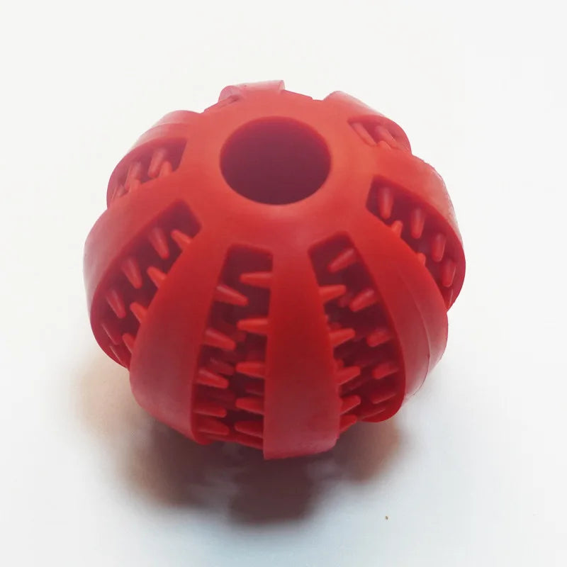 Jouet à mâcher pour chien – caoutchouc durable pour mastication intensive