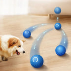 Hundespielzeug für spielerische Unterhaltung – langlebiges Gummimaterial