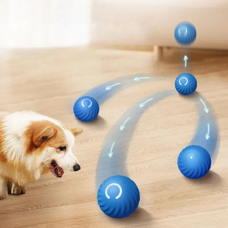 Hundespielzeug für spielerische Unterhaltung – langlebiges Gummimaterial