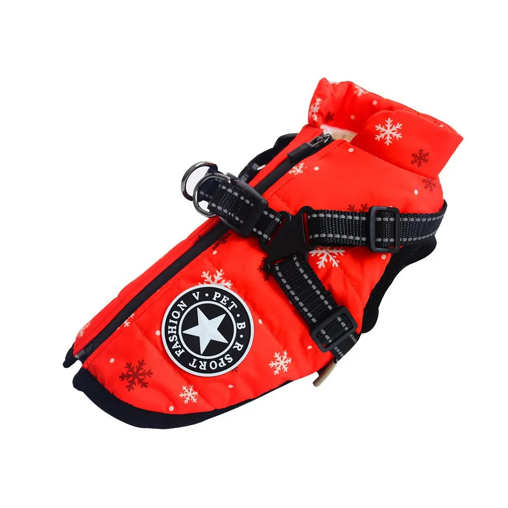 Water-repellent padded winter dog coat with harness