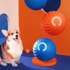 Hundespielzeug für spielerische Unterhaltung – langlebiges Gummimaterial