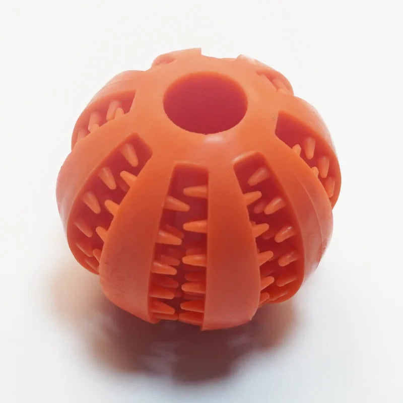 Jouet à mâcher pour chien – caoutchouc durable pour mastication intensive