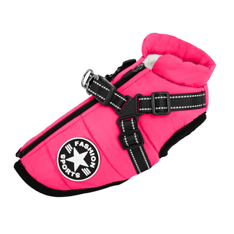 Water-repellent padded winter dog coat with harness