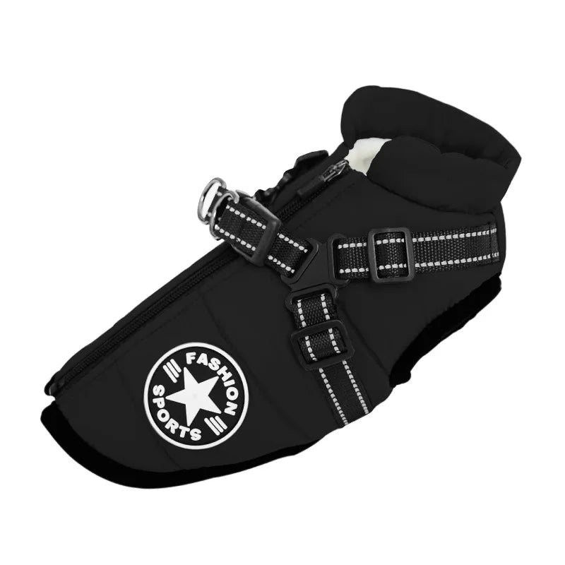 Water-repellent padded winter dog coat with harness