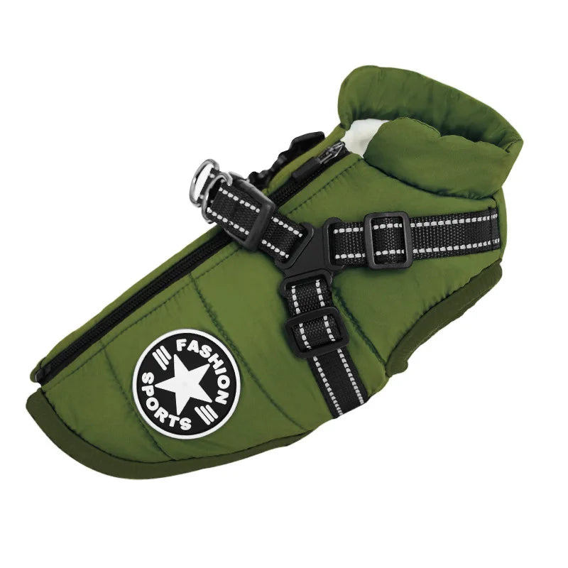 Water-repellent padded winter dog coat with harness