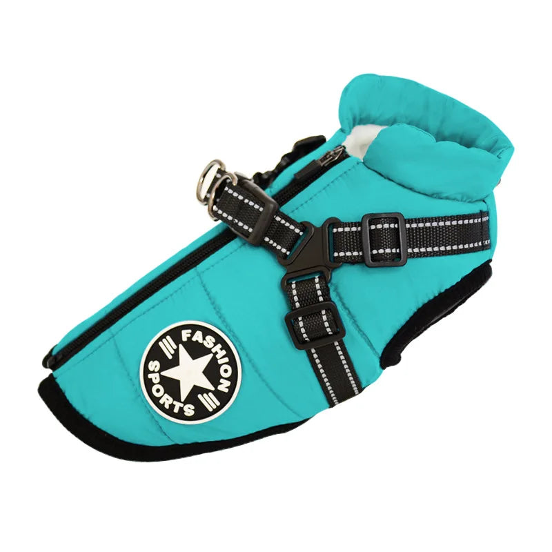 Water-repellent padded winter dog coat with harness