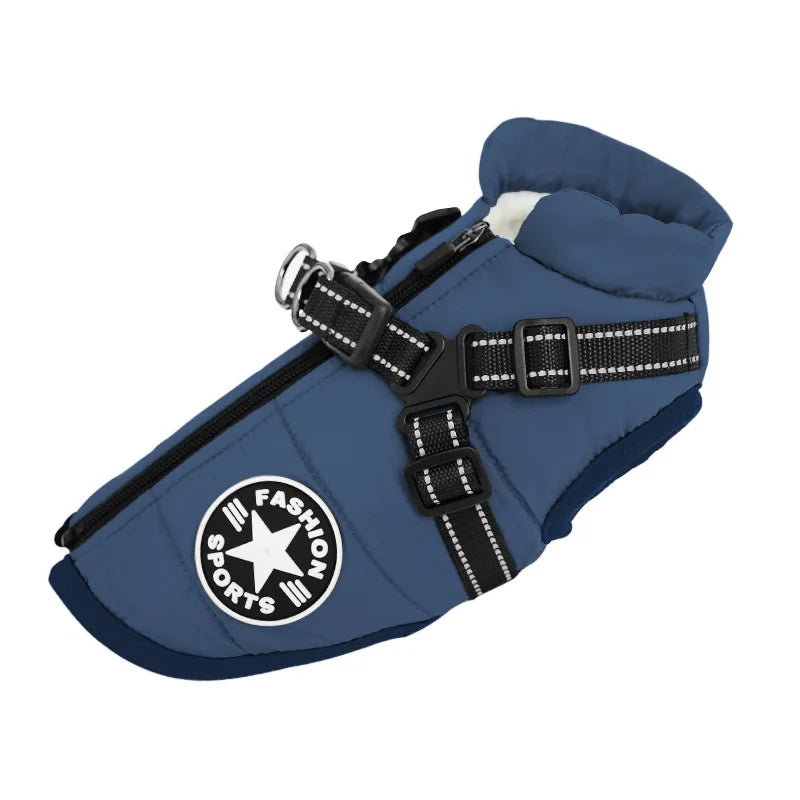 Water-repellent padded winter dog coat with harness