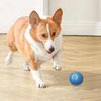 Hundespielzeug für spielerische Unterhaltung – langlebiges Gummimaterial