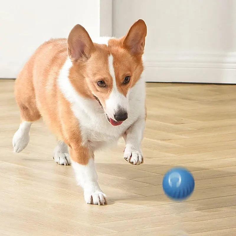 Hundespielzeug für spielerische Unterhaltung – langlebiges Gummimaterial