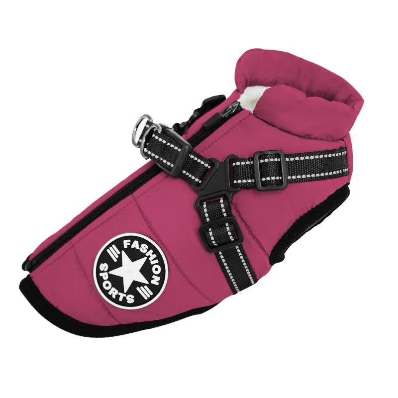 Water-repellent padded winter dog coat with harness