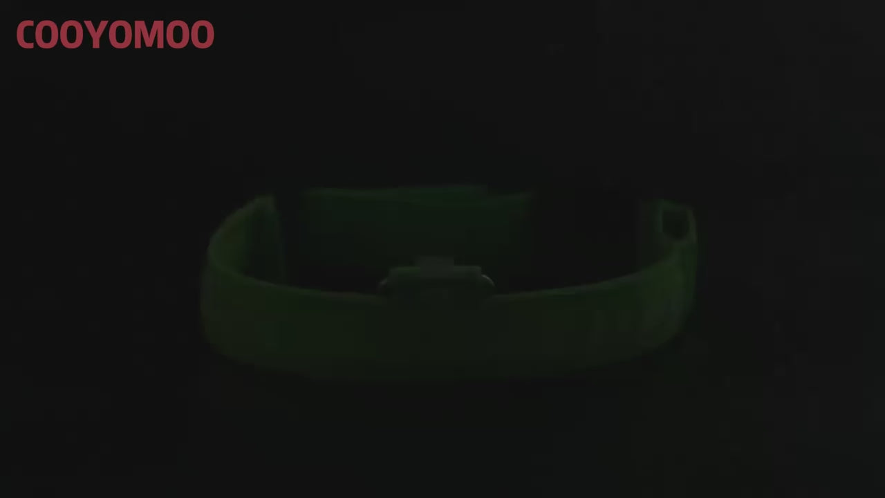 Leuchtendes Halsband für Hunde mit Akku - Sichtbarkeit und Sicherheit