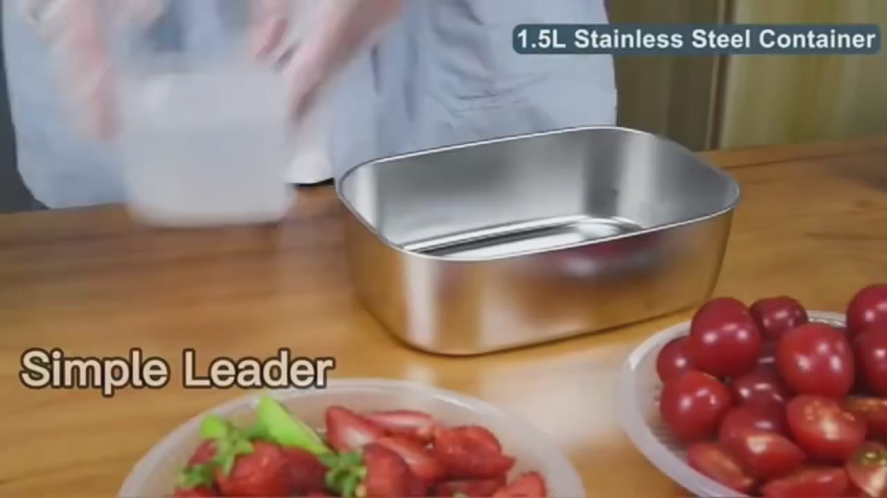 Elektrische Lunch-Box Essenswärmer – Mobil und praktisch für Auto oder Zuhause –