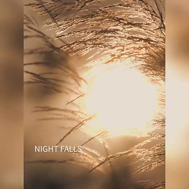 Straffende MATCHA-Gesichtsmasken: Green Clay Mud Masken, 7er Pack